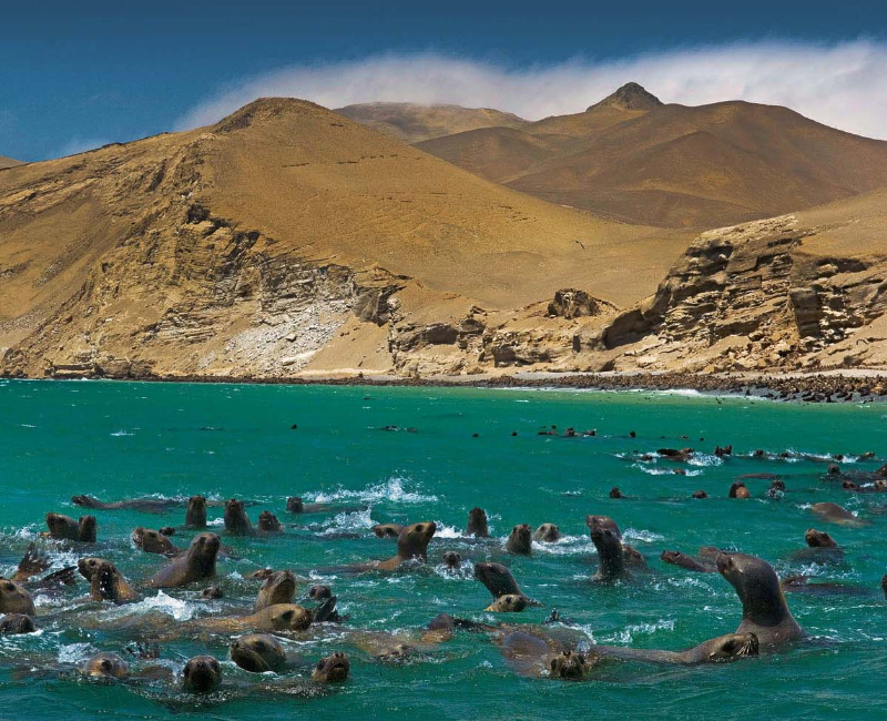 taxi satelital, taxi aeropuerto, taxi lima